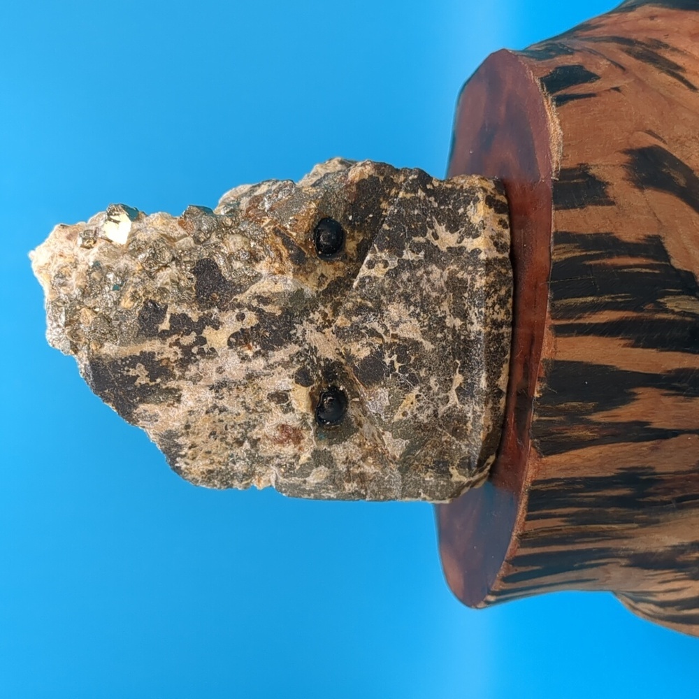 Adorable pet rock - pyrite on feldspar